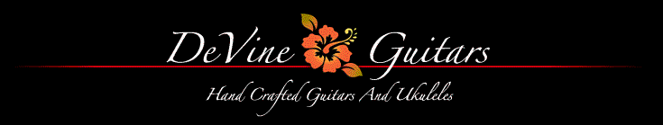 Devine guitars loge