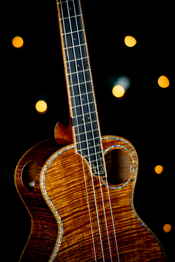 ukulele-fretboard-inlay-with-lights.jpg