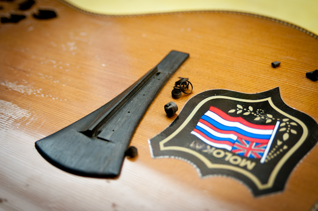 eddie-vedder-ukulele-update-2 Eddie Vedder's ukulele bridge removing the back of the bridge