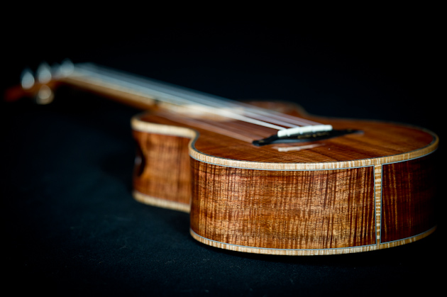 custom-koa-ukuleles-blur