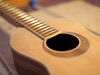 A parlor guitar a snakewood fretboard and rosette.