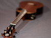 All DeVine Guitars and ukuleles come with a solid ebony headstock plate.
