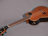 Brazilian rosewood tenor ukulele from DeVine Guitars with snakewood fretboard and bridge.