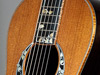 White and gold mother of pearl inlay around the rosette and fretboard.