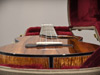 This tenor ukulele is a Kasha ukulele with ebony binding and master grade koa.