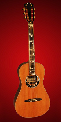 brazilian rosewood guitar